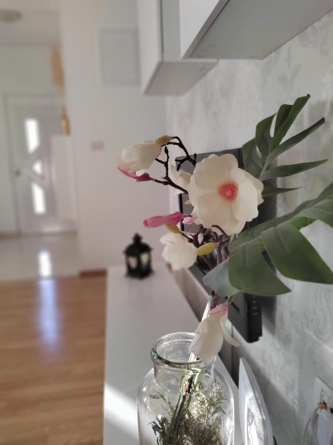 Apartments Karla I Ivano マンドレ エクステリア 写真
