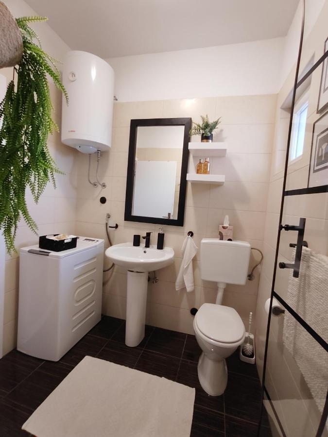 Apartments Karla I Ivano マンドレ エクステリア 写真